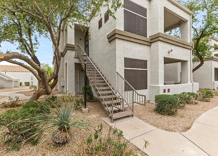 Palo Perch Scottsdale